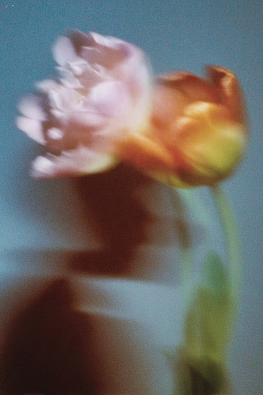 Asad